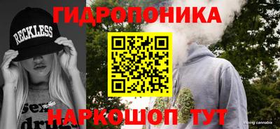 мдпв Пенза
