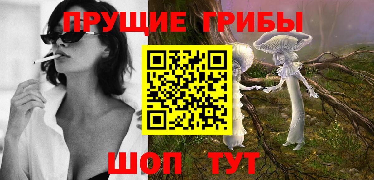 Галлюциногенные грибы мицелий Ставрополь