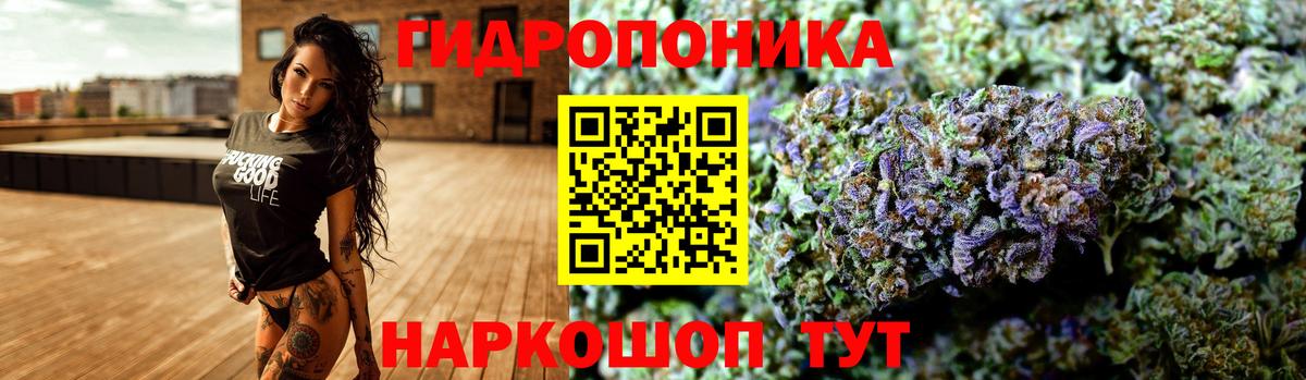 Бошки марихуана VHQ  Конопля семена  Ставрополь  Вход с VPN  Шишки марихуана AK-47  Шишки марихуана AK-47 